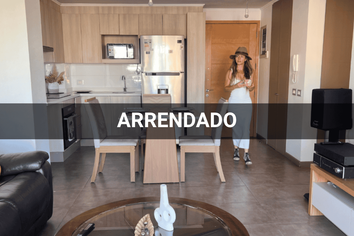 dpeto - roman diaz 1155 providencia - ARRENDADO