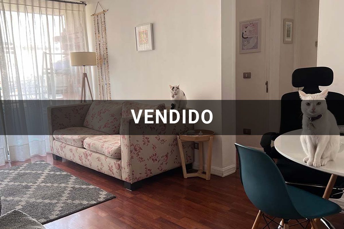 depto - suecia 151 providencia - VENDIDO