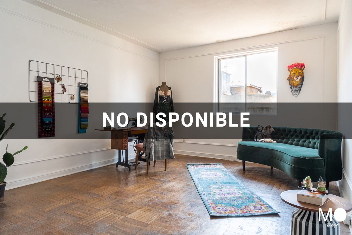 depto - parque forestal Santiago - NO DISPONIBLE