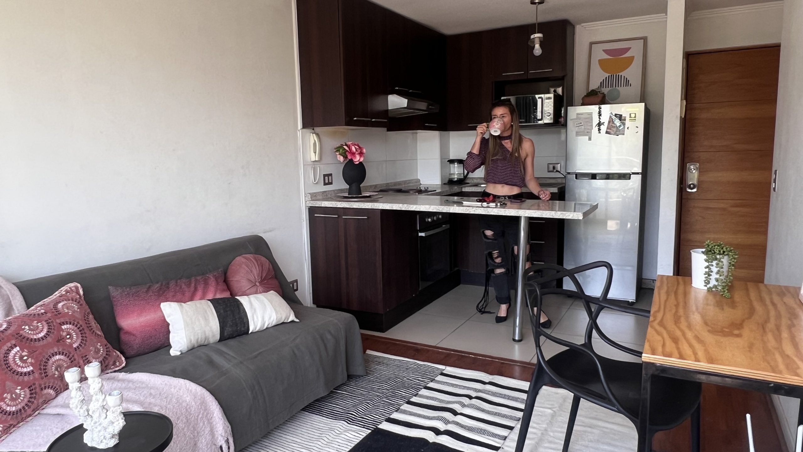 MO-depto-los-olmos-3140-ñuñoa-1